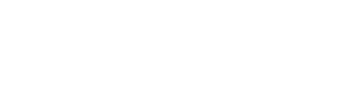 Problem Solvers